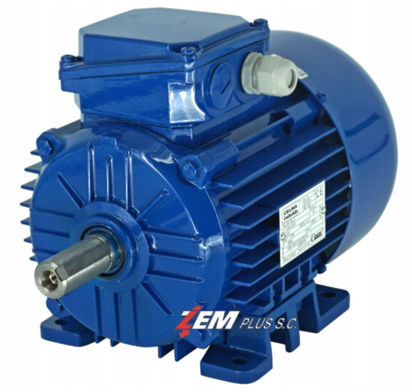 CELMA INDUKTA 6kW Typ: Sg132 S-2A 2910obr